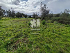 Terreno Urbano T0 - Pampilhosa, Mealhada, Aveiro - Miniatura: 3/9
