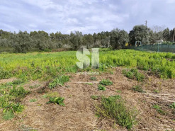Terreno Urbano T0 - Pampilhosa, Mealhada, Aveiro - Miniatura: 4/9