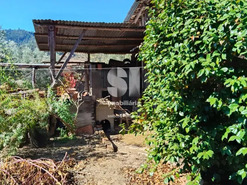 Moradia T2 - Povoa de Mid�es, T�bua, Coimbra - Miniatura: 22/28