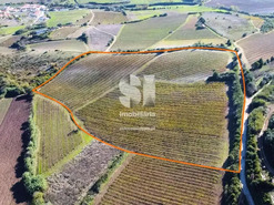 Terreno R�stico T0 - Torres Vedras, Torres Vedras, Lisboa - Miniatura: 6/16