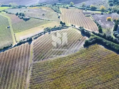 Terreno R�stico T0 - Torres Vedras, Torres Vedras, Lisboa - Miniatura: 10/16