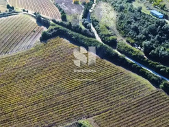 Terreno R�stico T0 - Torres Vedras, Torres Vedras, Lisboa - Miniatura: 11/16