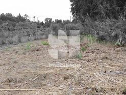 Quinta T1 - S�o Louren�o do Bairro, Anadia, Aveiro - Miniatura: 2/21