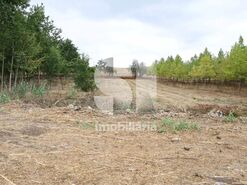 Quinta T1 - S�o Louren�o do Bairro, Anadia, Aveiro - Miniatura: 4/21