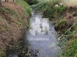 Quinta T1 - S�o Louren�o do Bairro, Anadia, Aveiro - Miniatura: 9/21