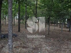 Quinta T1 - S�o Louren�o do Bairro, Anadia, Aveiro - Miniatura: 11/21