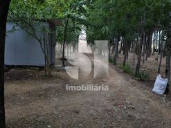 Quinta T1 - S�o Louren�o do Bairro, Anadia, Aveiro - Miniatura: 12/21