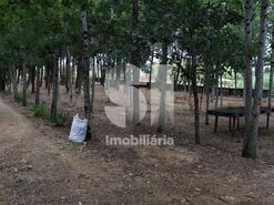 Quinta T1 - S�o Louren�o do Bairro, Anadia, Aveiro - Miniatura: 13/21