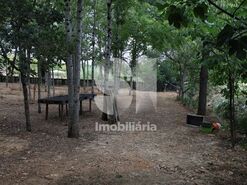 Quinta T1 - S�o Louren�o do Bairro, Anadia, Aveiro - Miniatura: 14/21