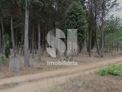 Quinta T1 - S�o Louren�o do Bairro, Anadia, Aveiro - Miniatura: 15/21