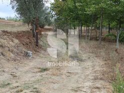 Quinta T1 - S�o Louren�o do Bairro, Anadia, Aveiro - Miniatura: 17/21
