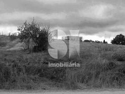 Quinta T1 - S�o Louren�o do Bairro, Anadia, Aveiro - Miniatura: 21/21