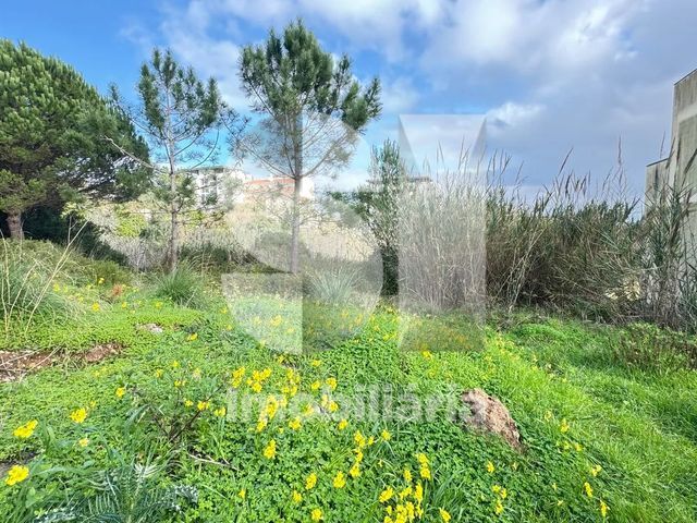 Terreno R�stico T0 - Buarcos, Figueira da Foz, Coimbra - Imagem grande