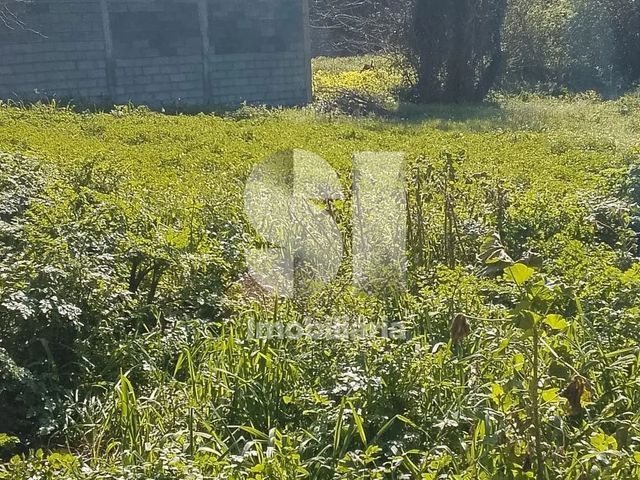 Terreno Urbano T0 - Soure, Soure, Coimbra - Imagem grande