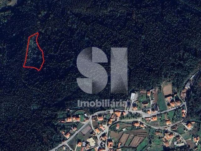 Terreno R�stico T0 - Escariz, Arouca, Aveiro - Imagem grande