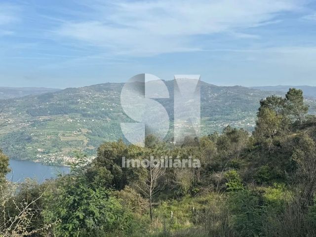 Terreno R�stico T0 - Ancede, Bai�o, Porto - Imagem grande