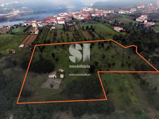 Terreno Urbano T0 - Oliveira do Mondego, Penacova, Coimbra