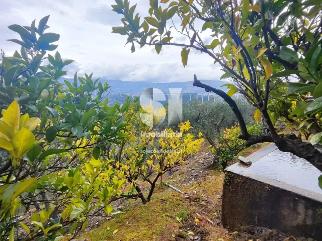 Terreno Urbano T0 - Folhadela, Vila Real, Vila Real