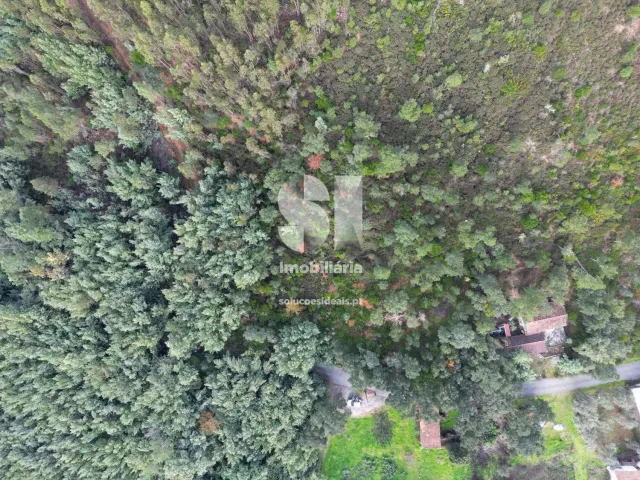 Terreno Urbano T0 - Sarzedo, Arganil, Coimbra