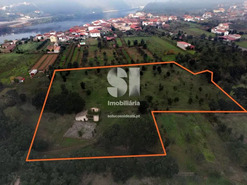 Terreno Urbano T0 - Oliveira do Mondego, Penacova, Coimbra
