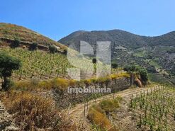 Quinta T4 - Ervedosa do Douro, S�o Jo�o da Pesqueira, Viseu