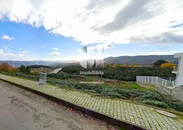 Terreno Rstico - Sabrosa, Sabrosa, Vila Real - Miniatura: 5/11