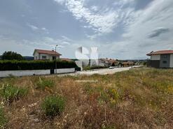 Terreno Rstico - Paos, Sabrosa, Vila Real - Miniatura: 3/7