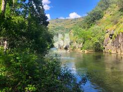 Quinta T1 - S�o Cristov�o do Douro, Sabrosa, Vila Real - Miniatura: 19/23