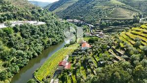 Quinta T1 - S�o Cristov�o do Douro, Sabrosa, Vila Real - Miniatura: 20/23