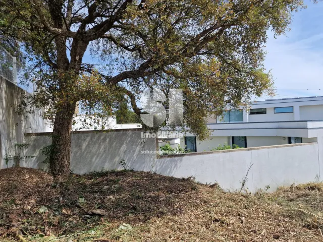 Terreno Urbano T0 - Parada de Todeia, Paredes, Porto - Miniatura: 4/43