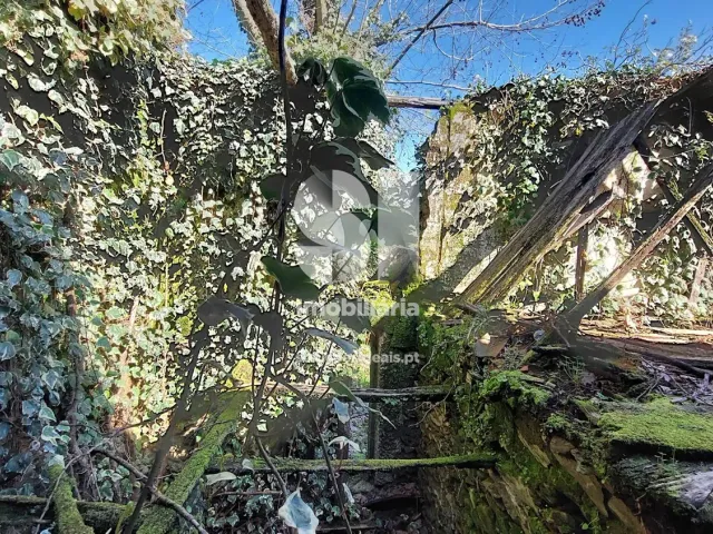 Moradia T0 - N�o Definido, N�o Definido, N�o Definido - Miniatura: 14/19