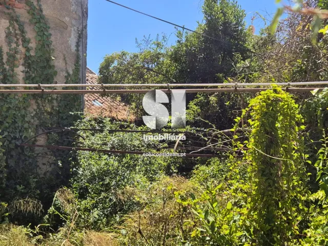 Pr�dio T0 - Dois Portos, Torres Vedras, Lisboa - Miniatura: 13/19