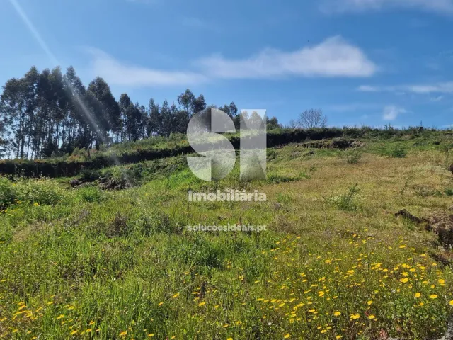 Terreno Urbano T0 - TERMAS DE S�O VICENTE, Penafiel, Porto - Miniatura: 32/49