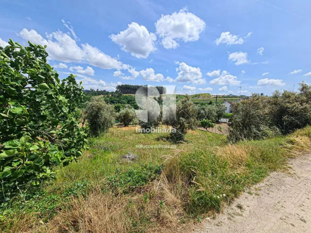 Terreno Urbano T0 - Fragosela, Viseu, Viseu - Miniatura: 6/16