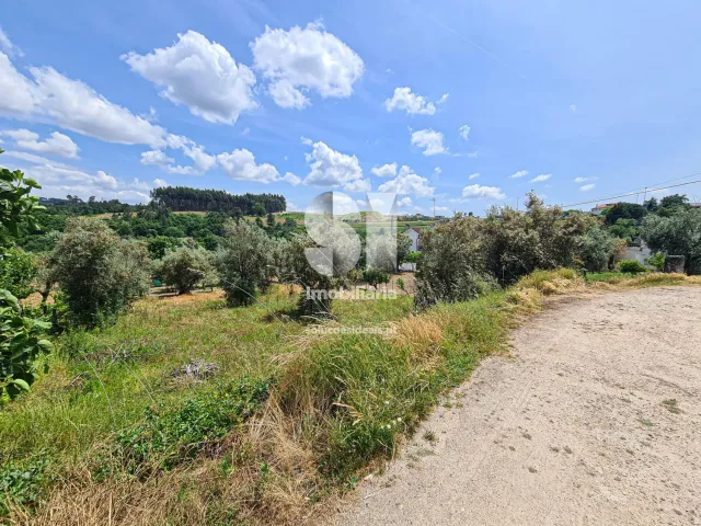 Terreno Urbano T0 - Fragosela, Viseu, Viseu - Miniatura: 7/16