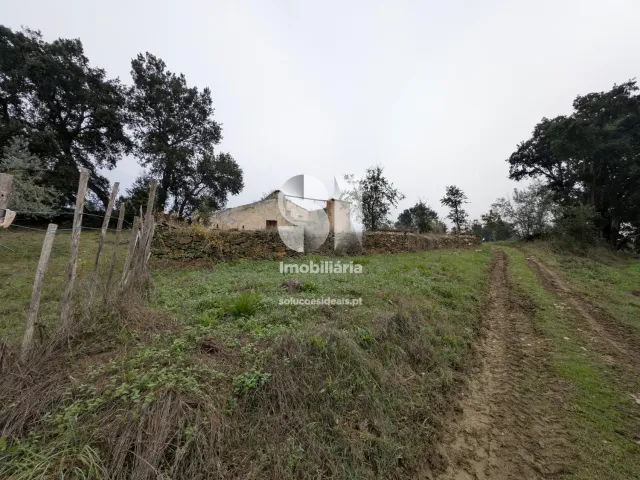 Terreno Urbano T0 - Oliveira do Mondego, Penacova, Coimbra - Miniatura: 2/7