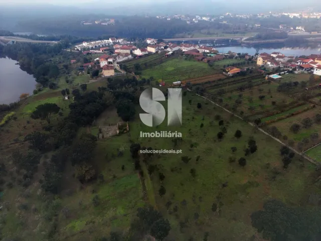 Terreno Urbano T0 - Oliveira do Mondego, Penacova, Coimbra - Miniatura: 7/7