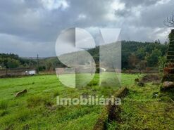 Moradia T2 - Fri�mes, Penacova, Coimbra - Miniatura: 4/6