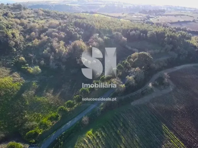 Terreno Urbano T0 - Dois Portos, Torres Vedras, Lisboa - Miniatura: 8/34