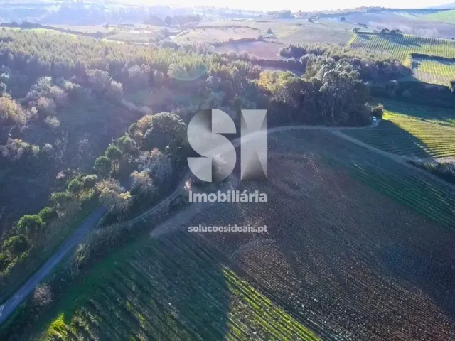 Terreno Urbano T0 - Dois Portos, Torres Vedras, Lisboa - Miniatura: 9/34