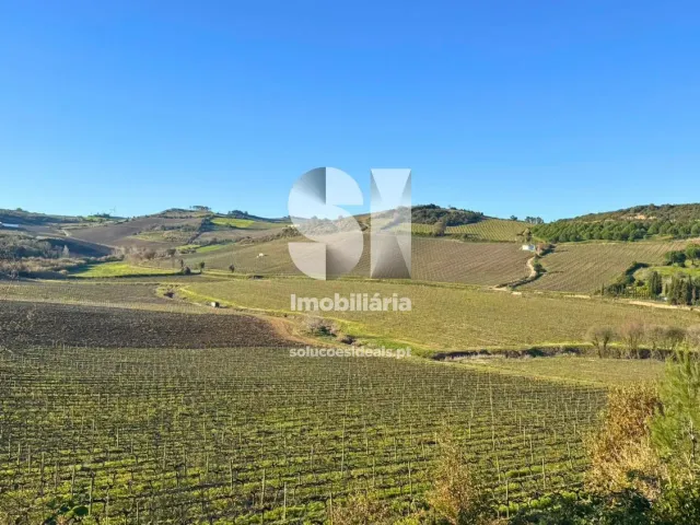 Terreno Urbano T0 - Dois Portos, Torres Vedras, Lisboa - Miniatura: 24/34