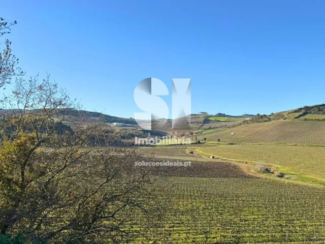 Terreno Urbano T0 - Dois Portos, Torres Vedras, Lisboa - Miniatura: 25/34