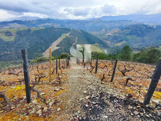 Terreno Urbano T0 - Folhadela, Vila Real, Vila Real - Miniatura: 1/15