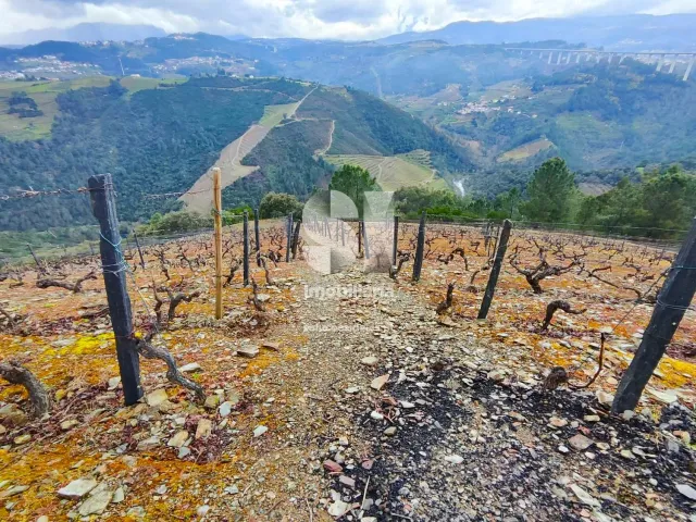 Terreno Urbano T0 - Folhadela, Vila Real, Vila Real - Miniatura: 2/15