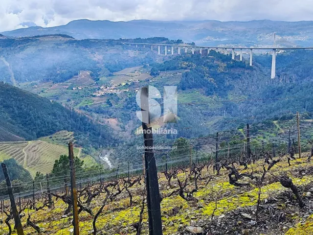 Terreno Urbano T0 - Folhadela, Vila Real, Vila Real - Miniatura: 4/15