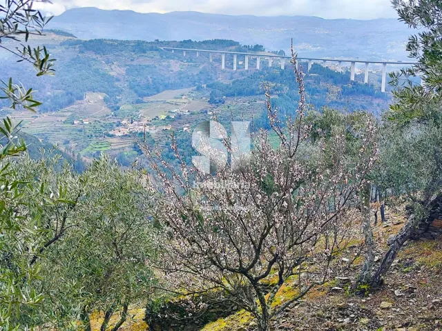 Terreno Urbano T0 - Folhadela, Vila Real, Vila Real - Miniatura: 6/15