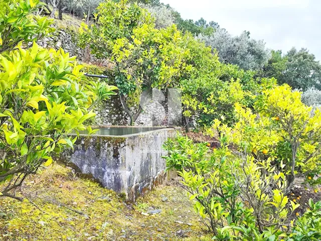 Terreno Urbano T0 - Folhadela, Vila Real, Vila Real - Miniatura: 7/15