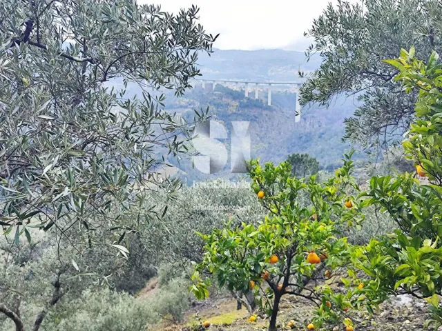 Terreno Urbano T0 - Folhadela, Vila Real, Vila Real - Miniatura: 8/15