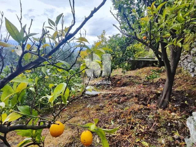 Terreno Urbano T0 - Folhadela, Vila Real, Vila Real - Miniatura: 9/15