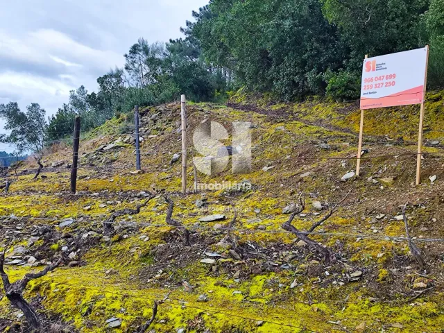 Terreno Urbano T0 - Folhadela, Vila Real, Vila Real - Miniatura: 12/15